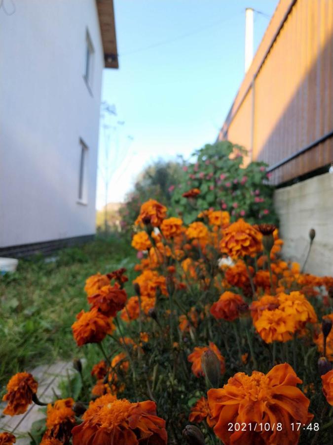Nestg Guest House Pilipets Exterior photo