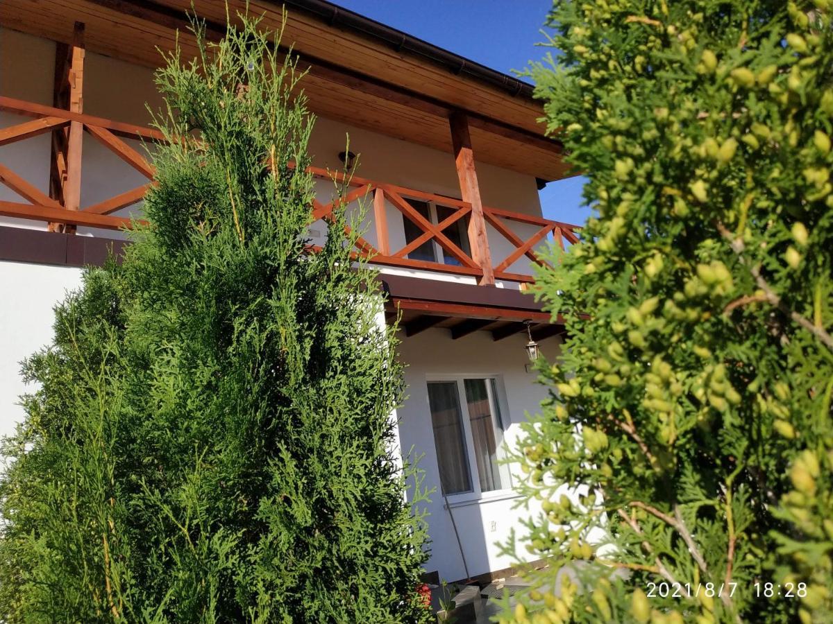 Nestg Guest House Pilipets Exterior photo