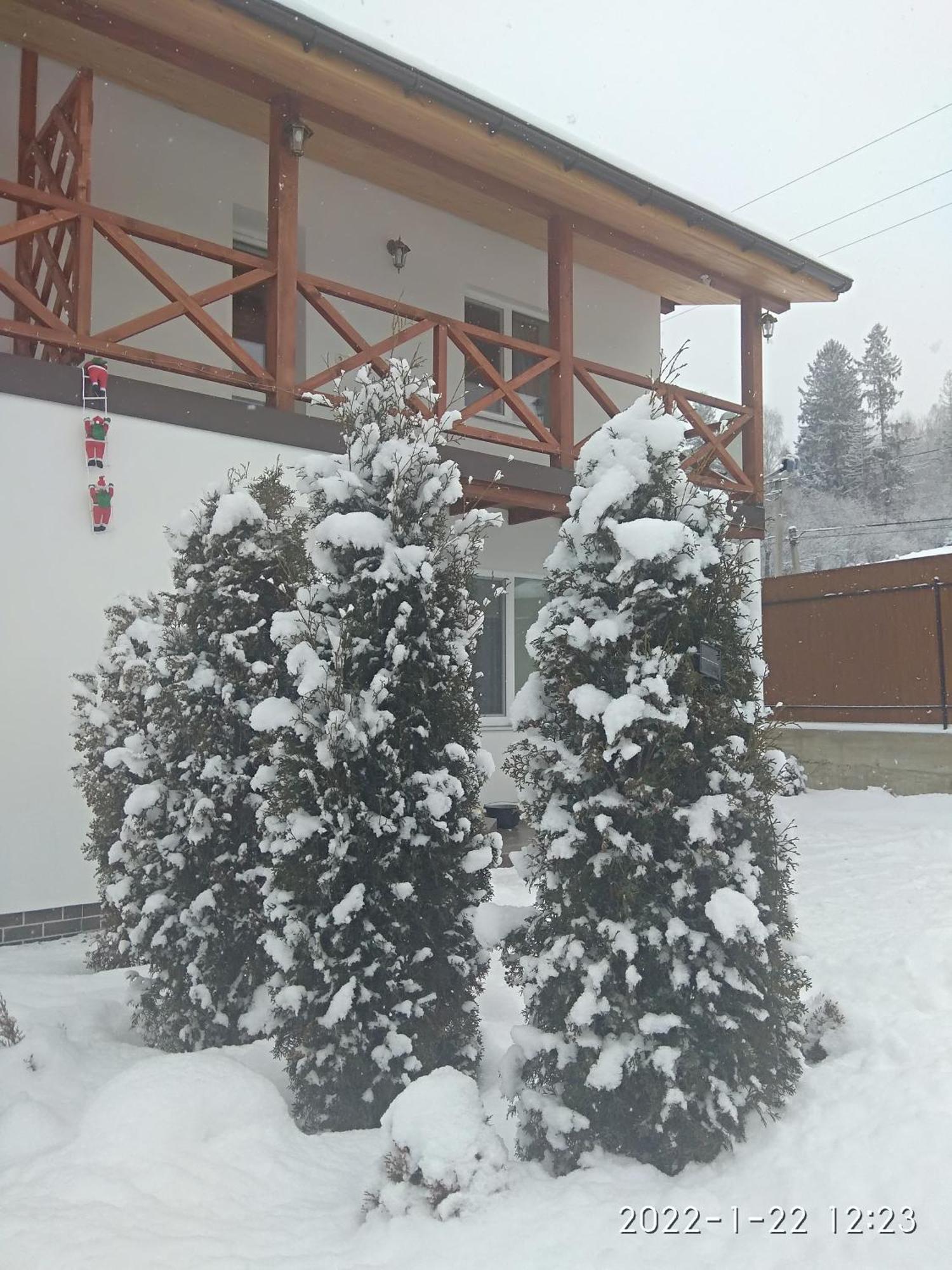 Nestg Guest House Pilipets Exterior photo